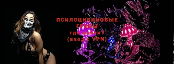 винт Белокуриха