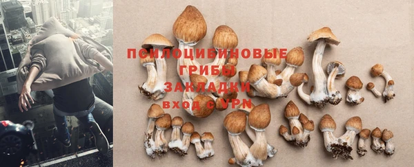 первитин Беломорск